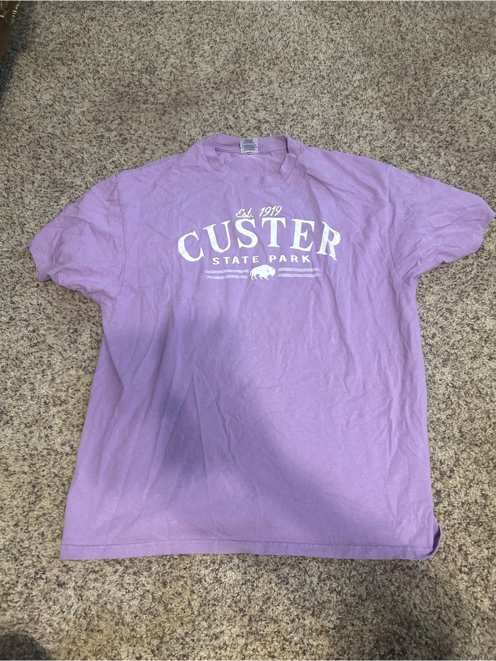 Women’s Custer state park purple and white prairie mountain size xl tshirt